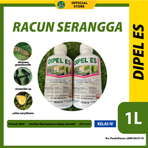 293 2026 02 02 Mr racun