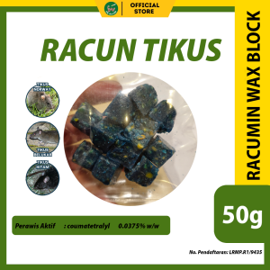 293 2026 02 23 dr racun